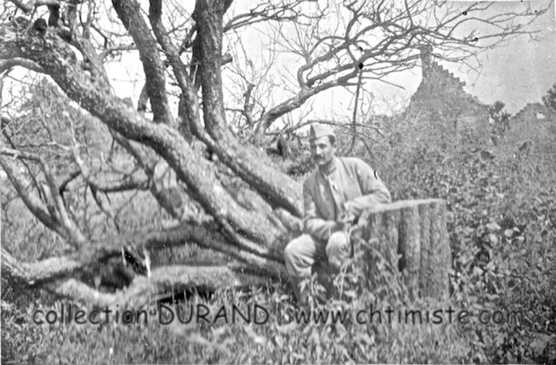 26-1-2 Arbres fruitiers coupes par les boches.jpg - 387 30 juillet 1917, visite à mon ami Reddé, à Missy-sur-Aisne. Arbres fruitiers coupés par les boches
