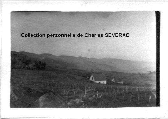 13.jpg - 12/11/1916 : Vue prise de 970 : un coin de hautes hutes à droite la Tête des Faux