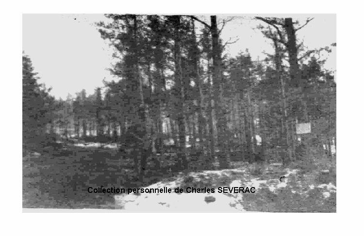 15.jpg - 22/11/1916 : Camp Morlière (col de Wekstein)