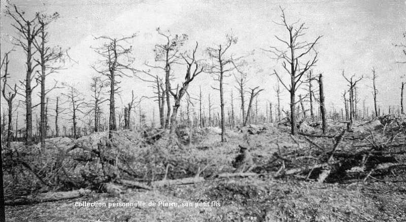 05-Bois Spandeau- 09-1915.jpg - Photo GARNIER N° 5 : Bois Spandeau- 09-1915